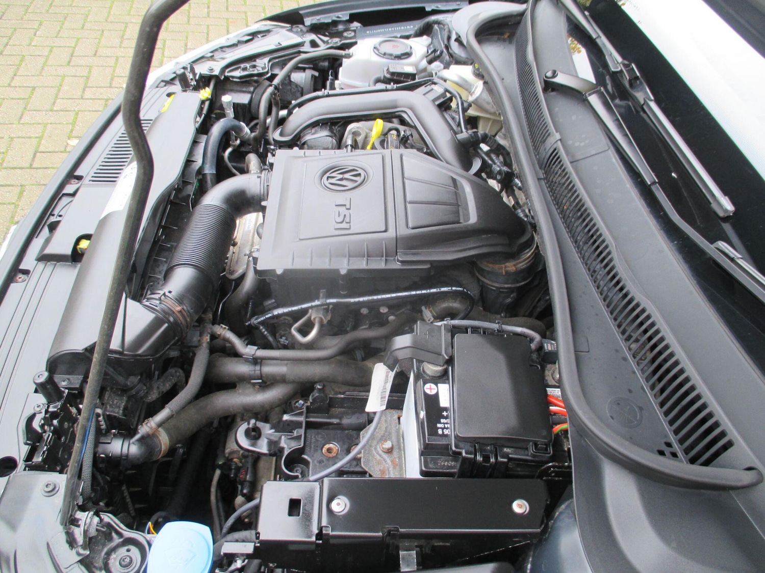 Used Volkswagen Polo for sale - 76409500: Photo 52