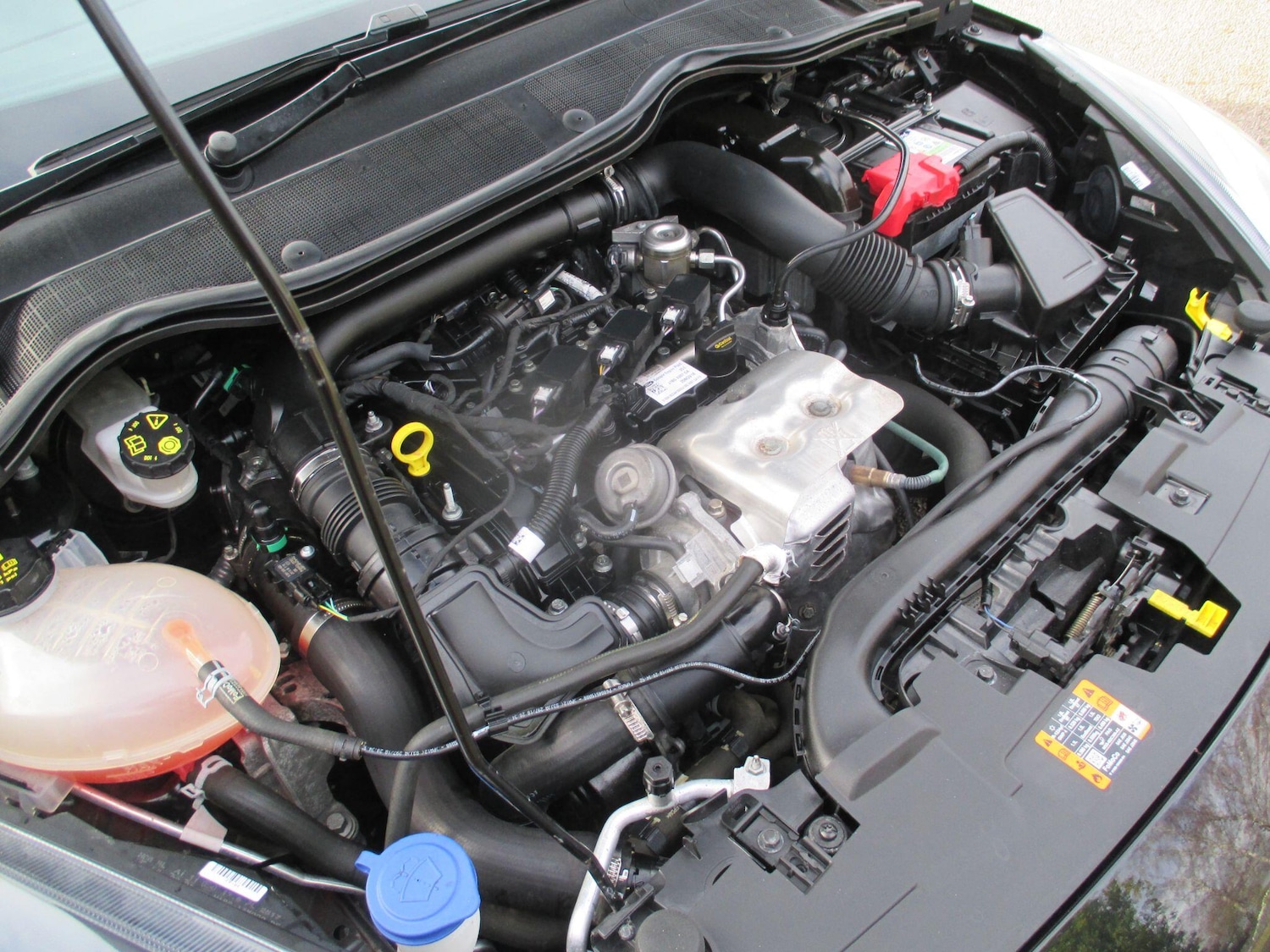 Used Ford Fiesta 2019 for sale - 76612858: Photo 51