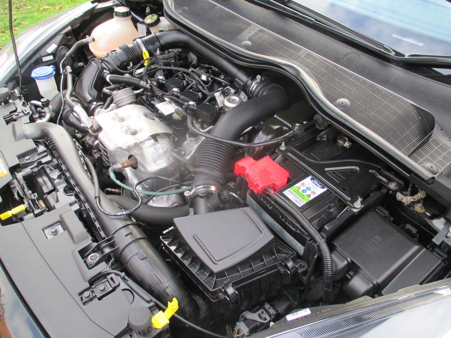 Used Ford Fiesta 2019 for sale - 76612858: Photo 52