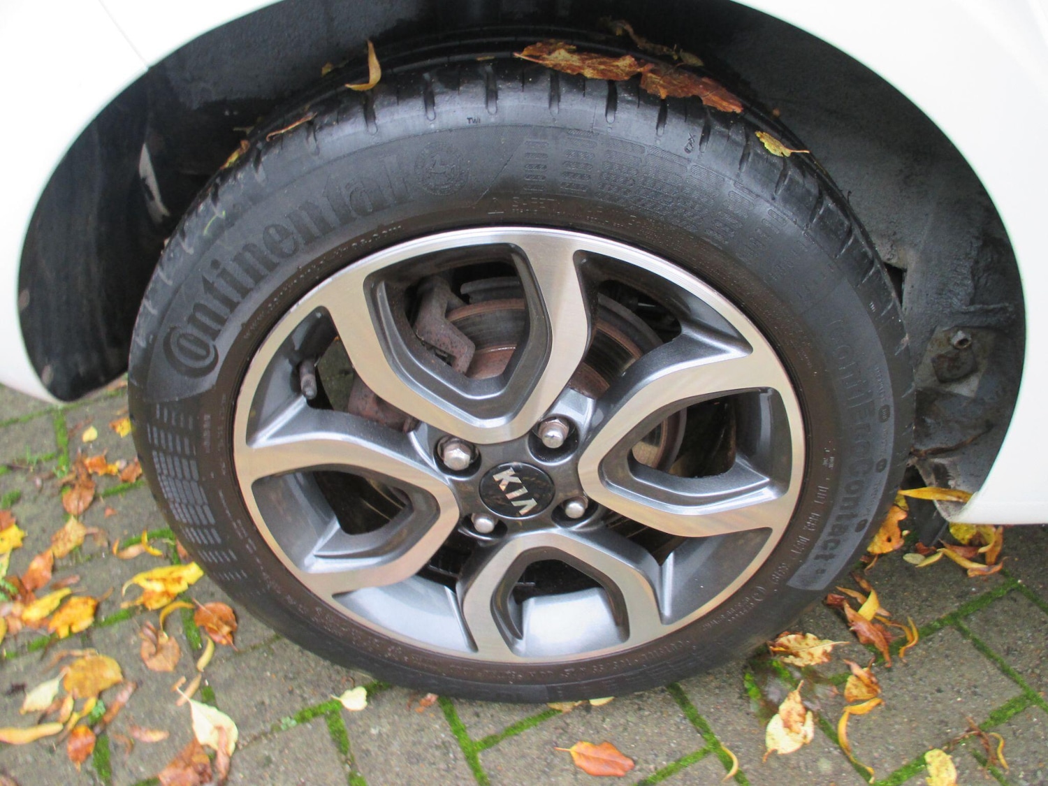 Used Kia Picanto 2019 for sale - 76538555: Photo 10