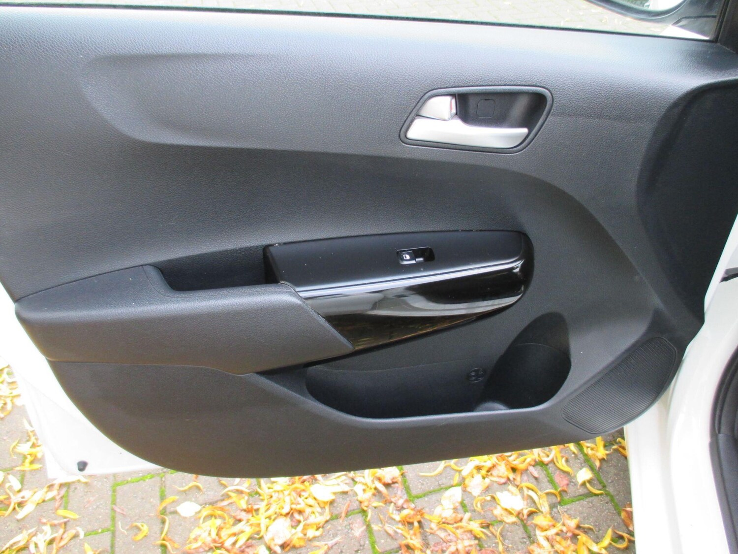 Used Kia Picanto 2019 for sale - 76538555: Photo 41