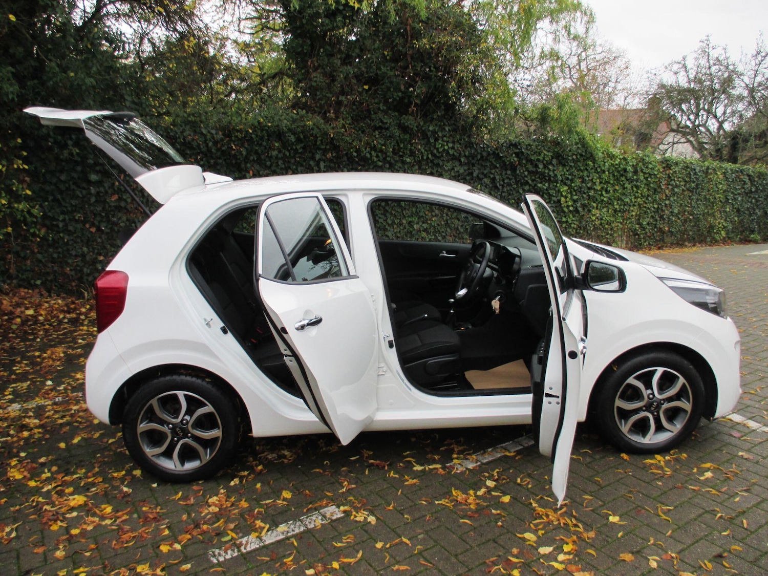 Used Kia Picanto 2019 for sale - 76538555: Photo 9