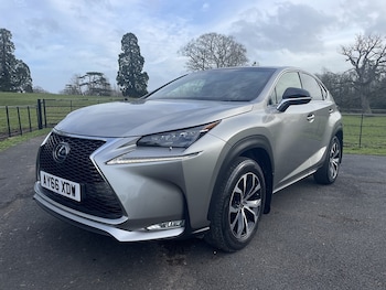Used Lexus NX 2016 for sale - 77384884: Photo