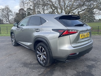 Used Lexus NX 2016 for sale - 77384884: Photo