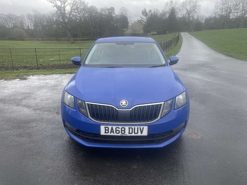 Used Skoda Octavia 2019 for sale - 77622012: Photo 8