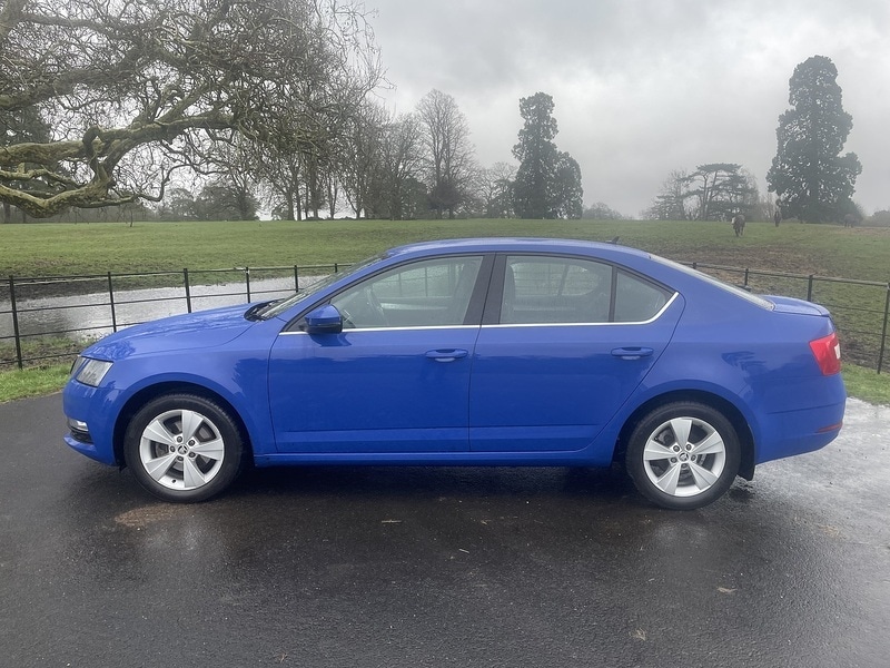 Used Skoda Octavia 2019 for sale - 77906026: Photo 2