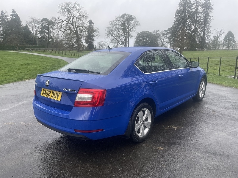 Used Skoda Octavia 2019 for sale - 77906026: Photo 5