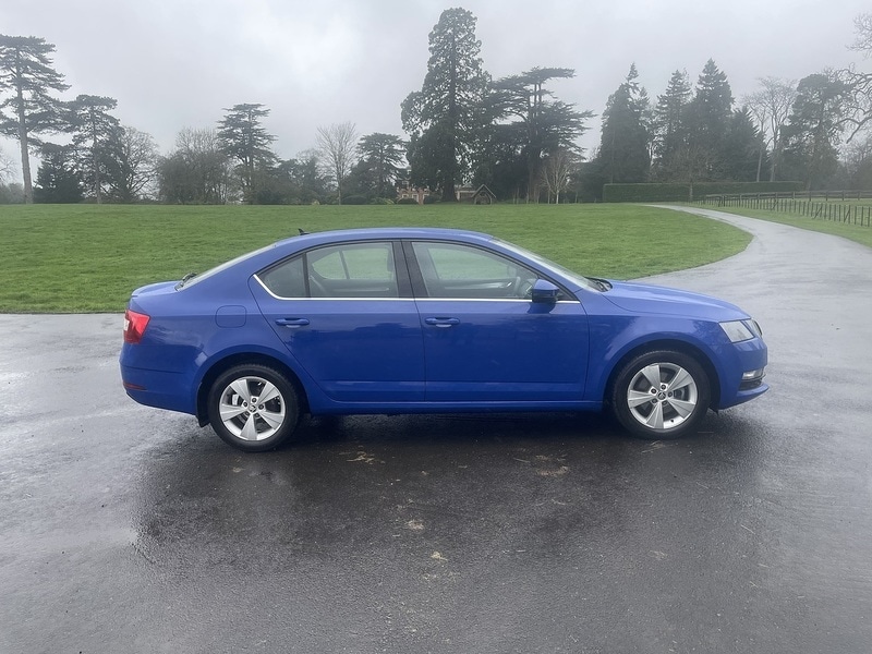 Used Skoda Octavia 2019 for sale - 77906026: Photo 6