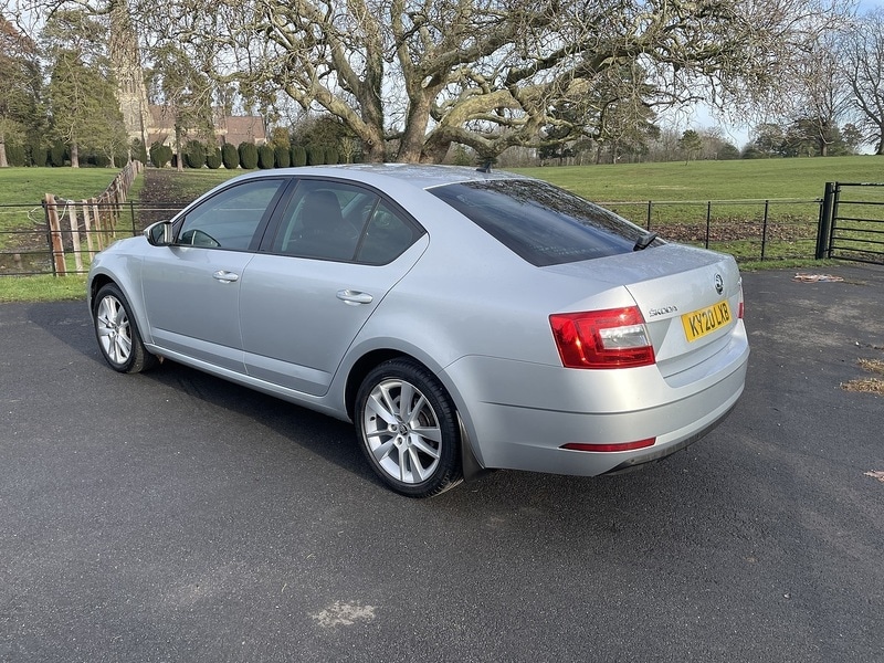 Used Skoda Octavia 2020 for sale - 77200871: Photo 3