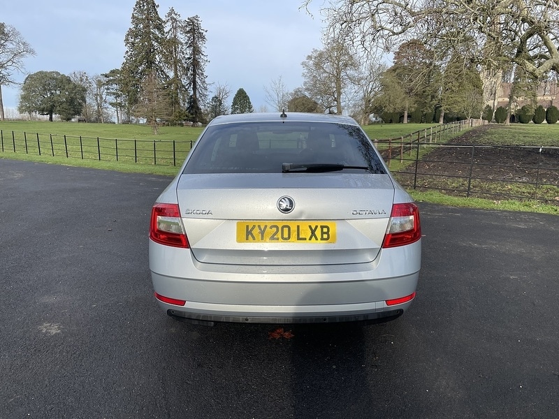 Used Skoda Octavia 2020 for sale - 77200871: Photo 4