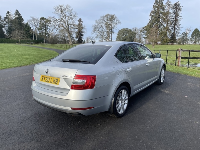 Used Skoda Octavia 2020 for sale - 77200871: Photo 5