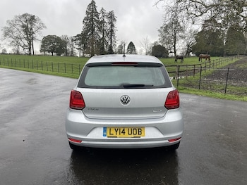 Used Volkswagen Polo 2014 for sale - 77693887: Photo