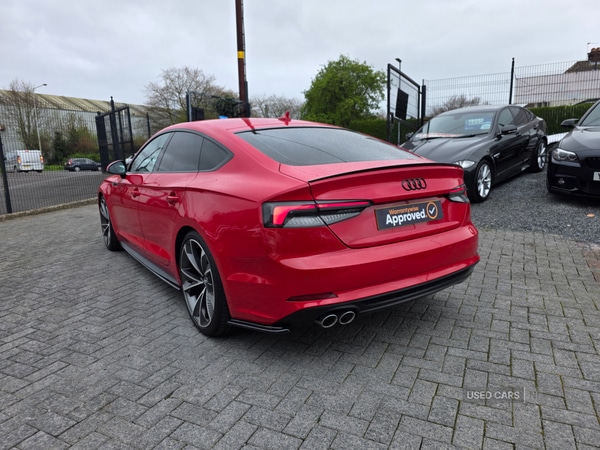 Used Audi A5 2017 for sale - 78215284: Photo 6