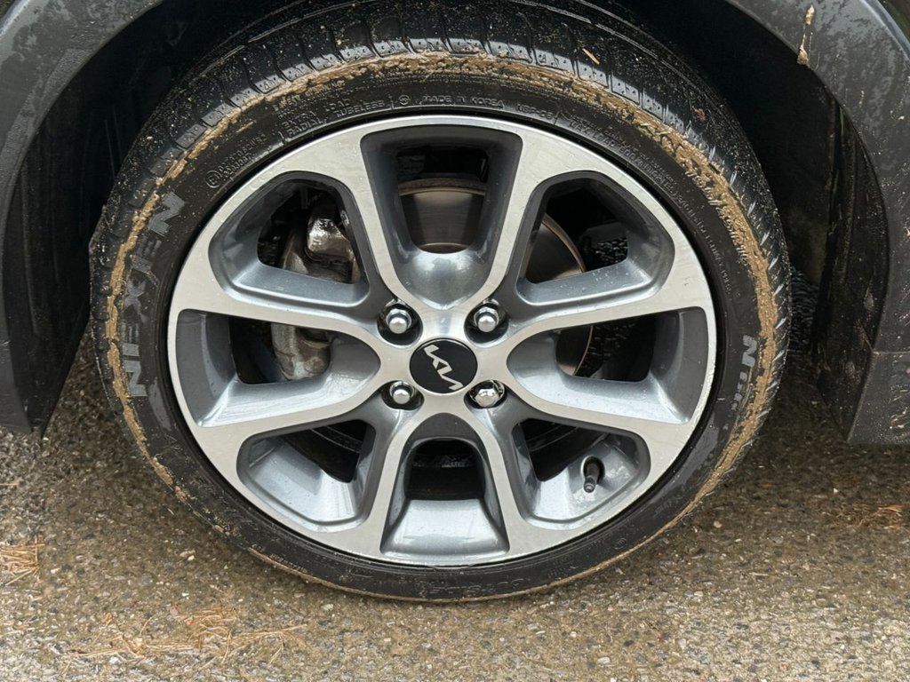 Used Kia Picanto 2023 for sale - 77254395: Photo 34