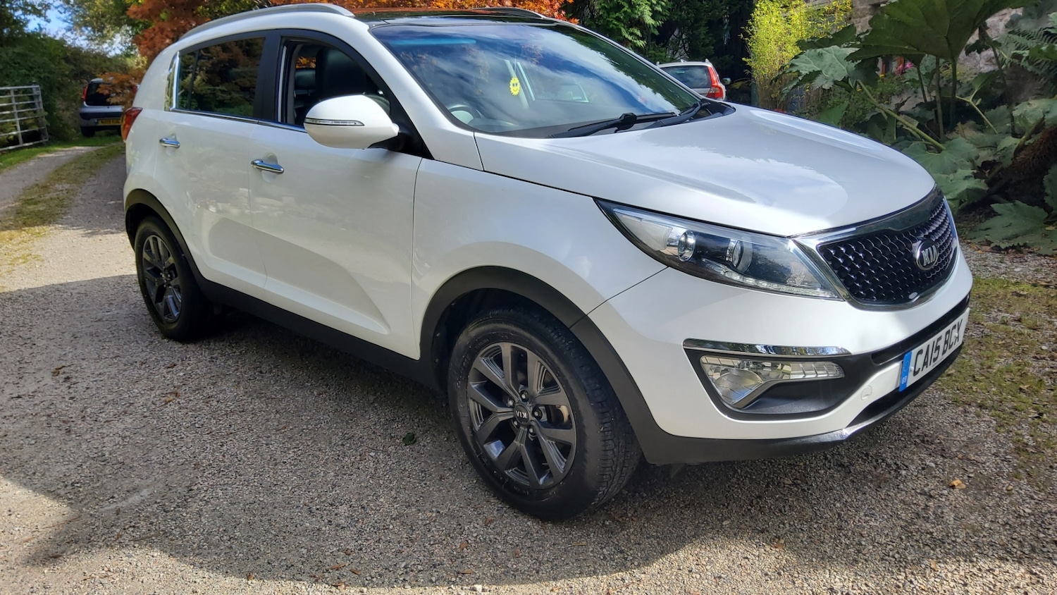 Used Kia Sportage 2015 for sale - 76088475: Photo 7