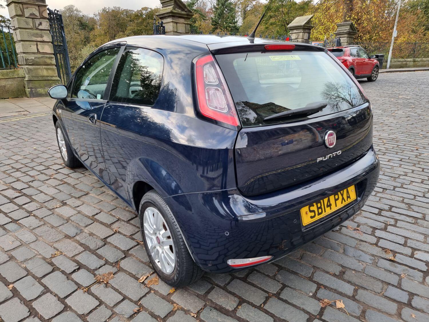 Used Fiat Punto 2014 for sale - 77162228: Photo 5