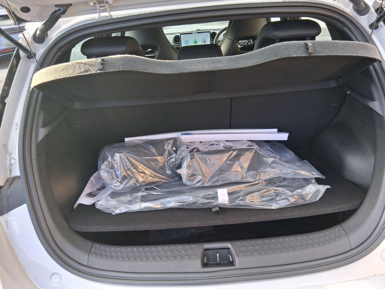 Used BYD Dolphin 2025 for sale - 77279567: Photo 10