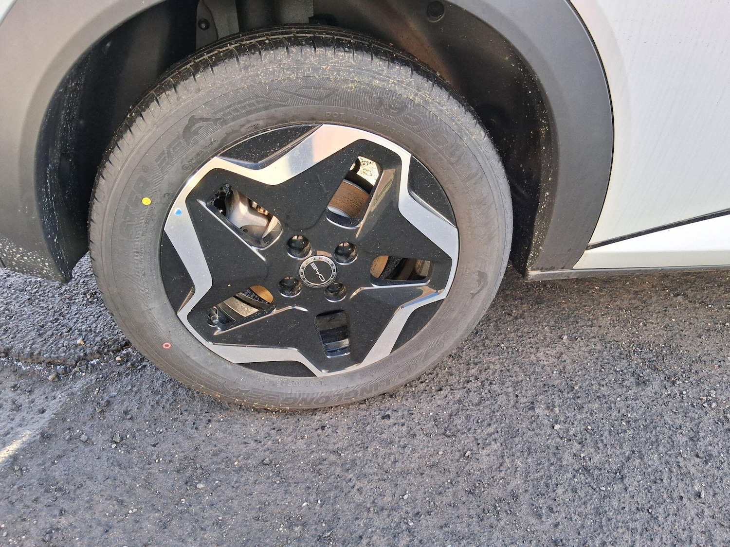 Used BYD Dolphin 2025 for sale - 77290850: Photo 10