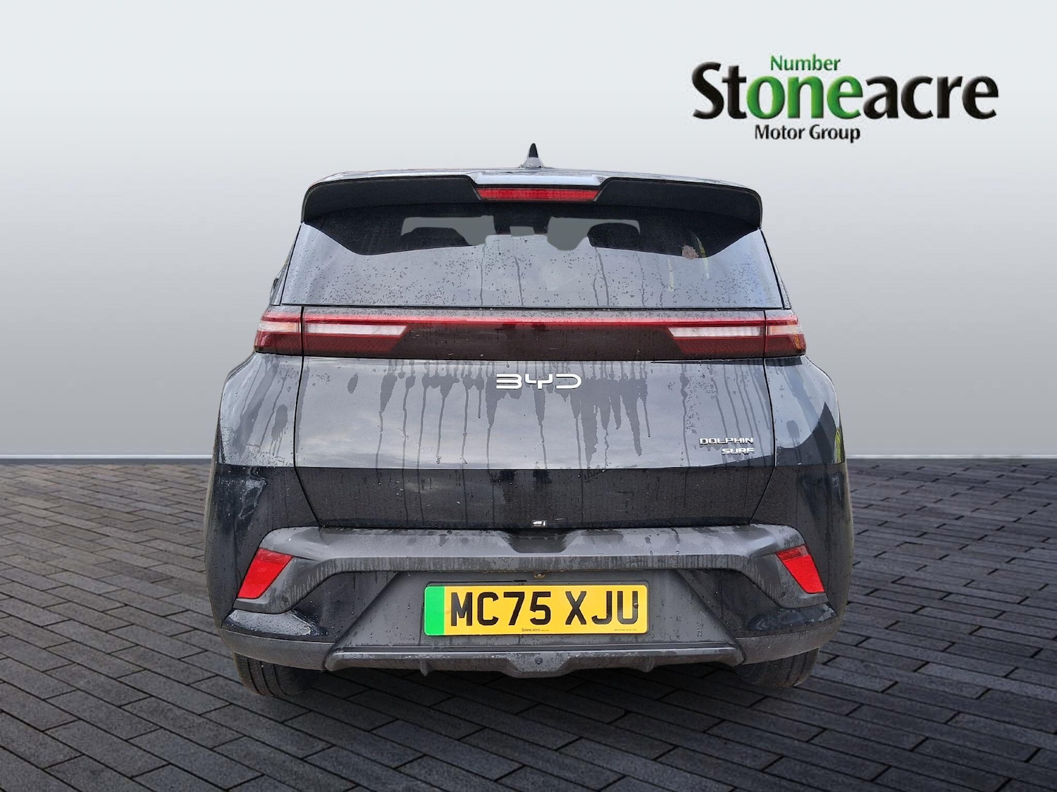 Used BYD Dolphin 2025 for sale - 77202805: Photo 4