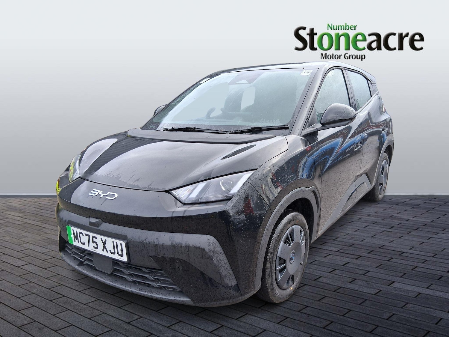 Used BYD Dolphin 2025 for sale - 77202805: Photo 7