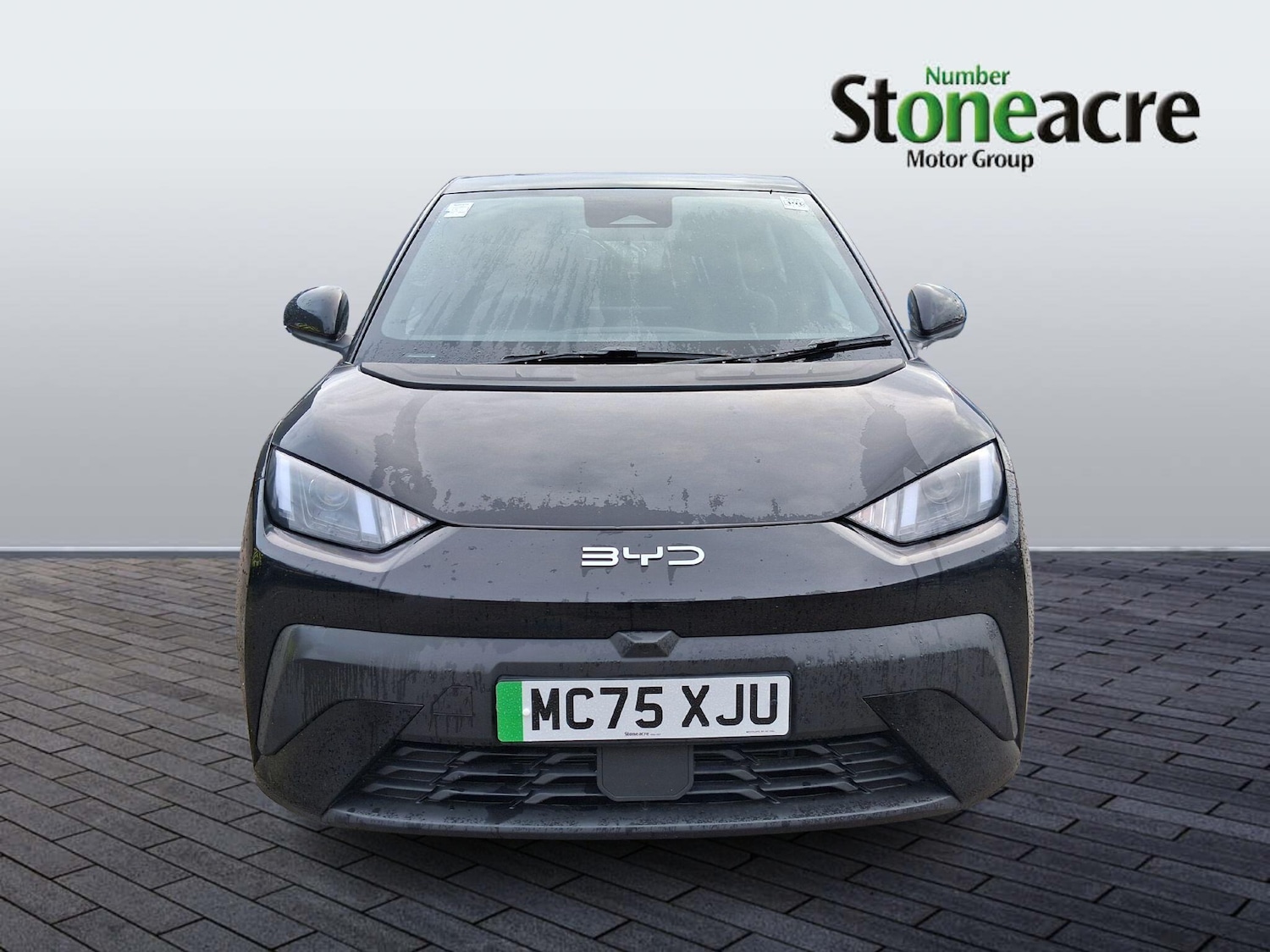 Used BYD Dolphin 2025 for sale - 77202805: Photo 8