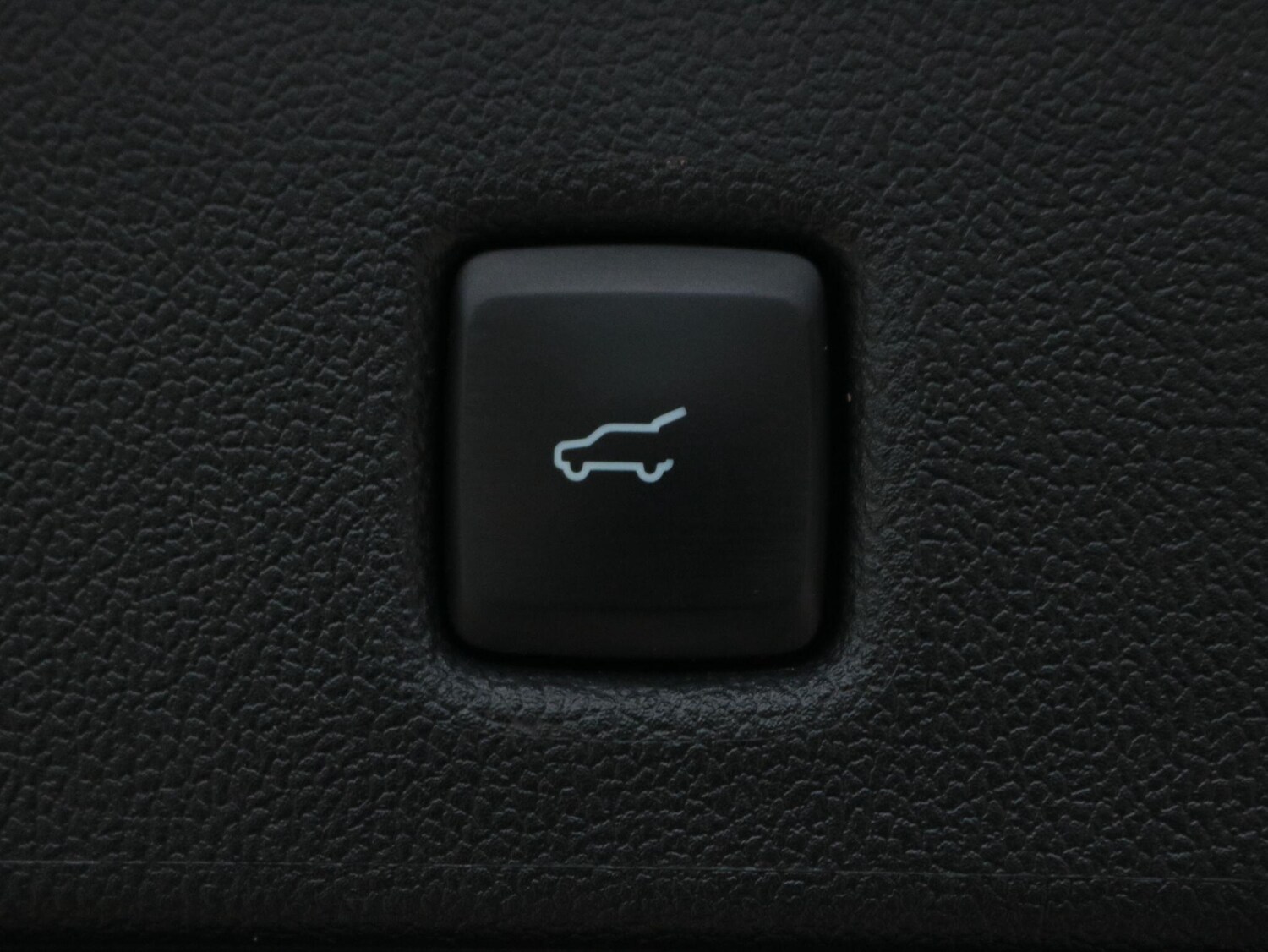 Used Ford Kuga 2024 for sale - 77670772: Photo 13