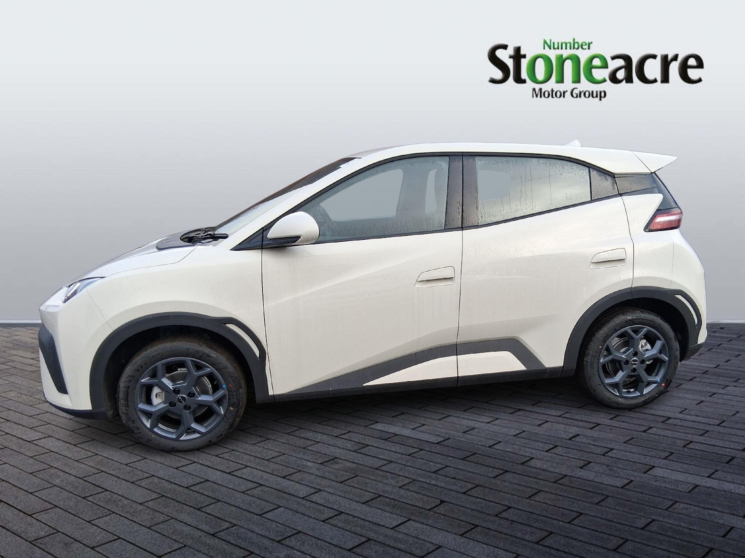 Used BYD Dolphin 2025 for sale - 76800838: Photo 6