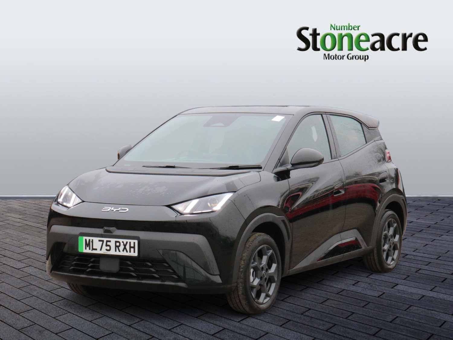 Used BYD Dolphin for sale - 77808674: Photo 9