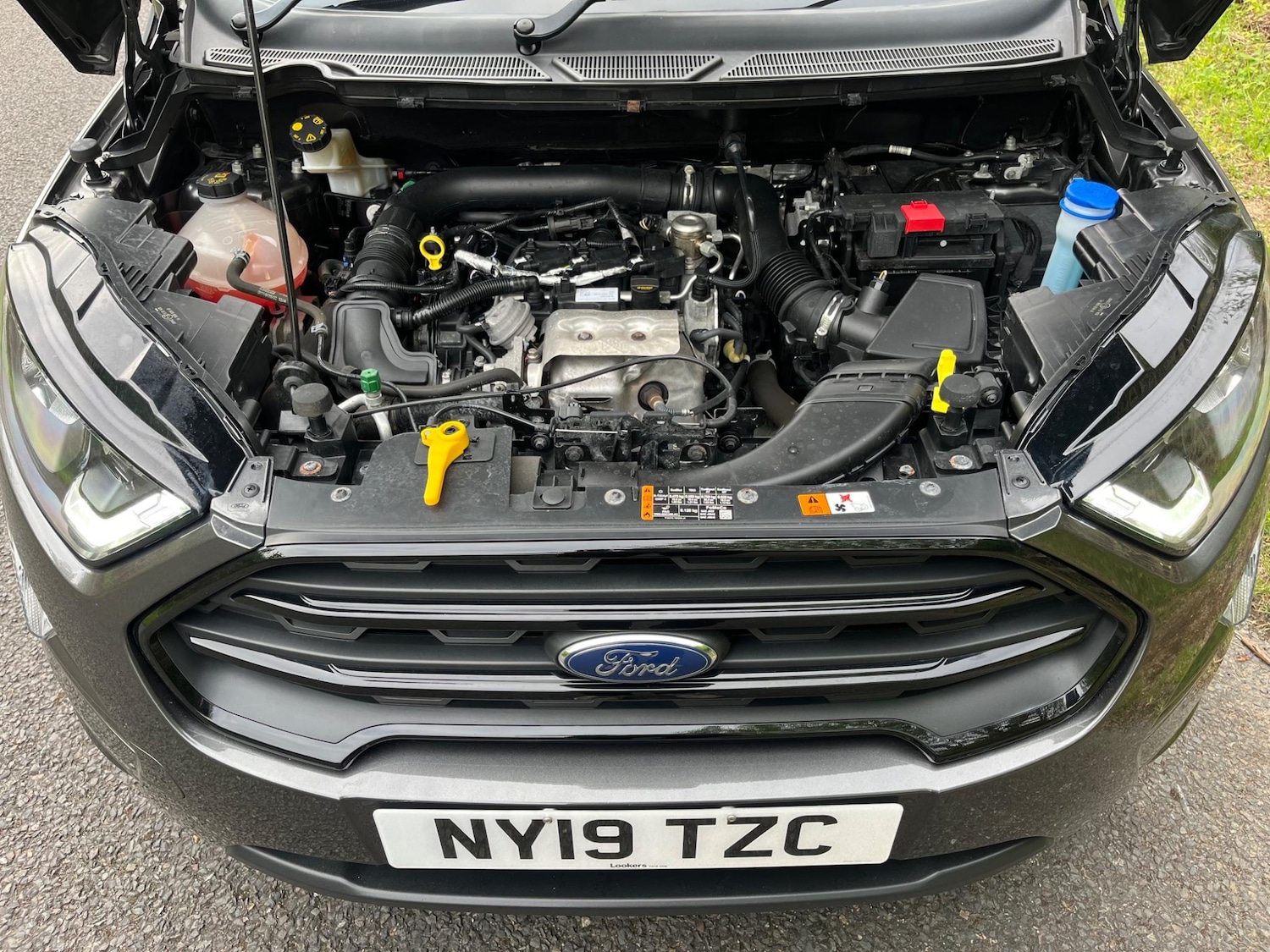 Used Ford Ecosport 2019 for sale - 77351439: Photo 25