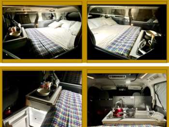Used Toyota Alphard 2011 for sale - 74861949: Photo