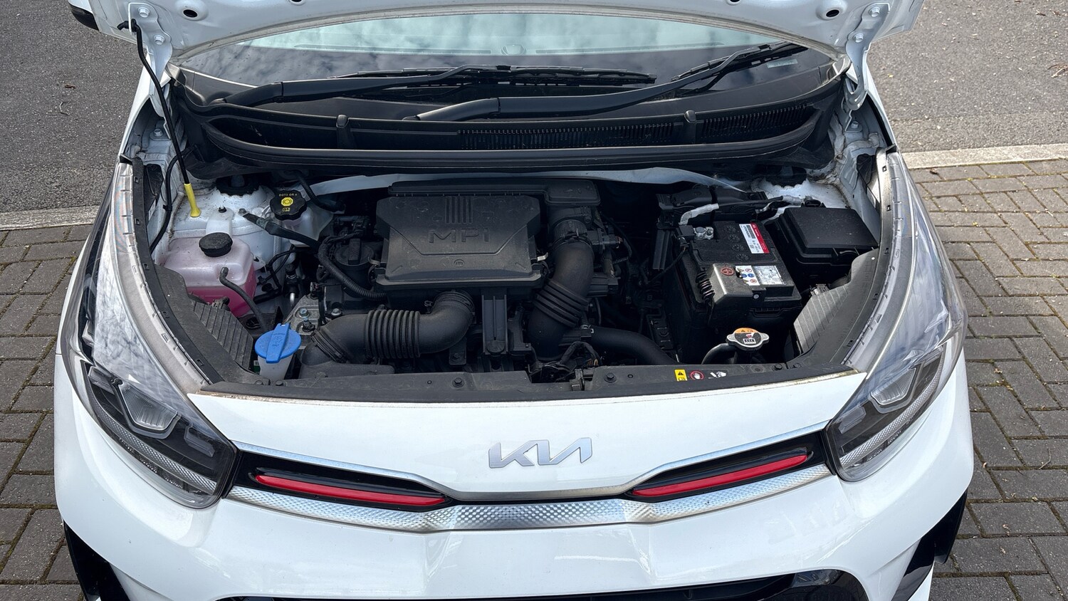 Used Kia Picanto 2023 for sale - 78094929: Photo 8