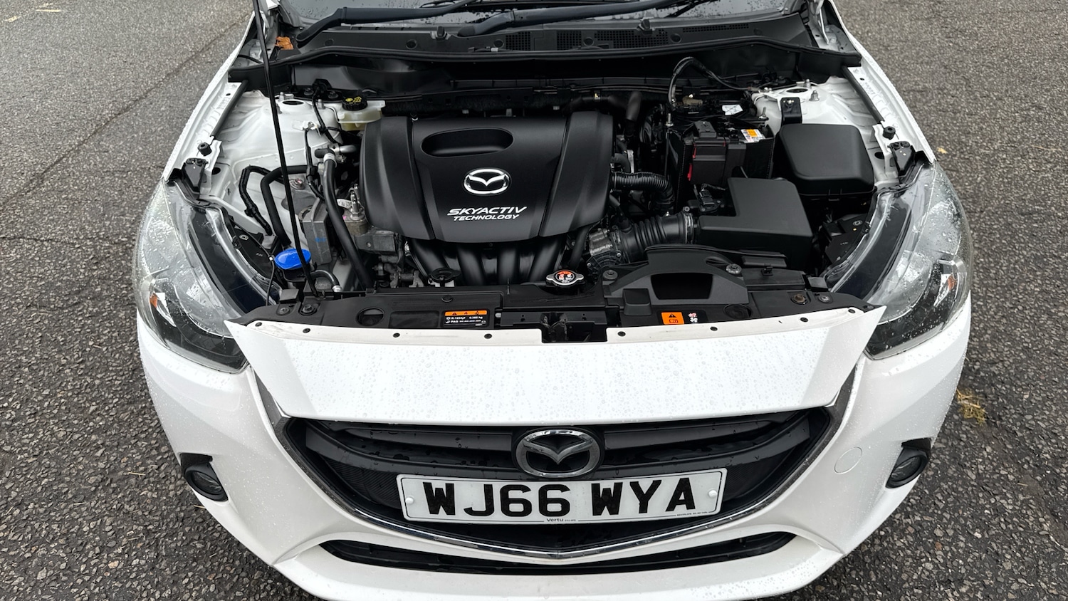 Used Mazda Mazda2 2016 for sale - 76131127: Photo 8