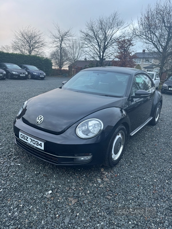 Used Volkswagen Beetle 2016 for sale - 77538938: Photo 7