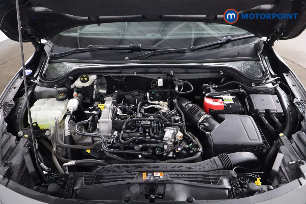 Used Ford Focus 2022 for sale - 77604366: Photo 40