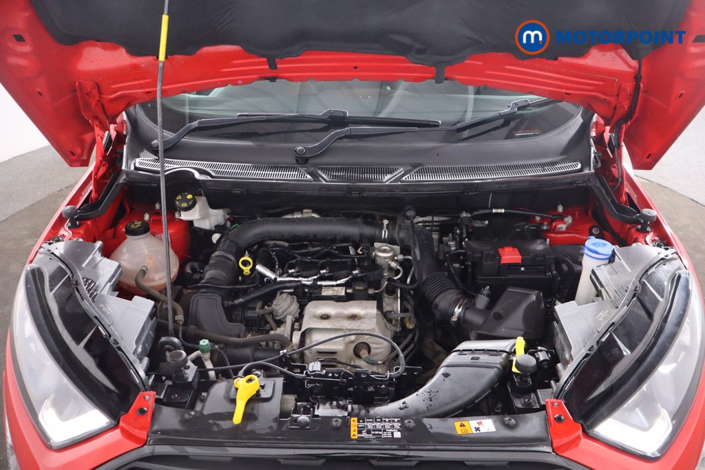 Used Ford Ecosport 2019 for sale - 76878748: Photo 39