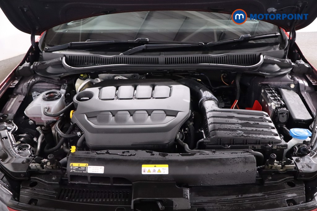 Used Volkswagen Polo 2023 for sale - 77814726: Photo 42