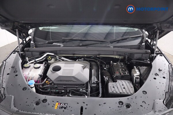 Used MG MG HS 2025 for sale - 76006513: Photo 40