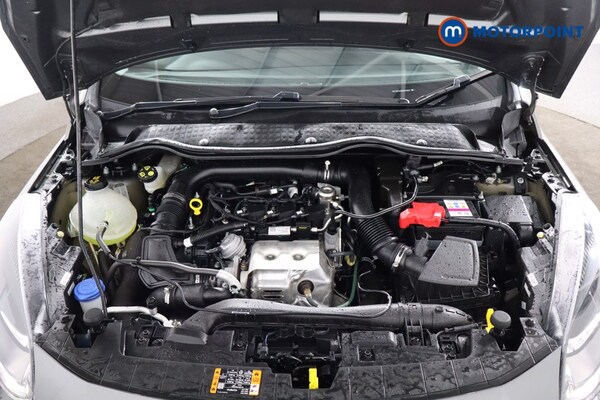 Used Ford Fiesta 2023 for sale - 76287619: Photo 38