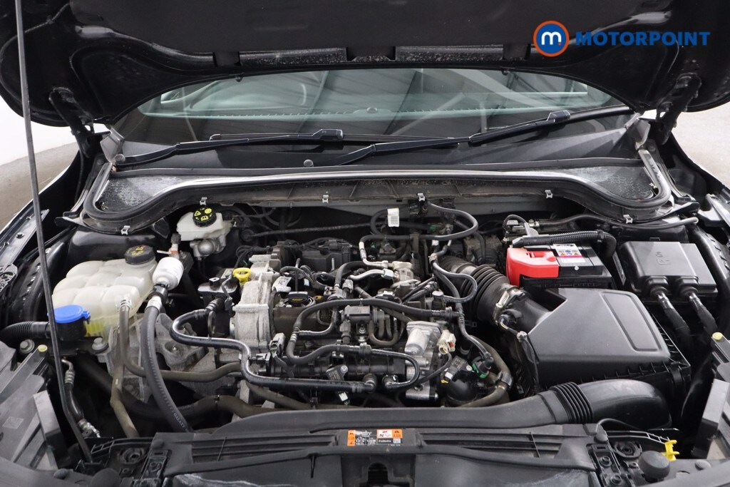 Used Ford Focus 2023 for sale - 77914182: Photo 37