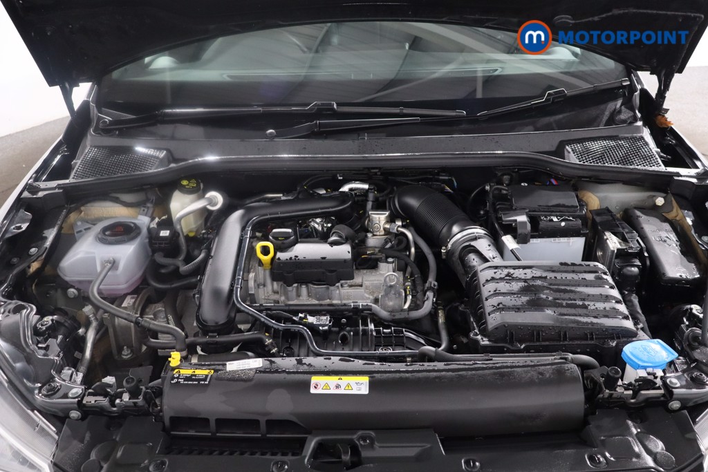 Used SEAT Ibiza 2024 for sale - 77432000: Photo 41