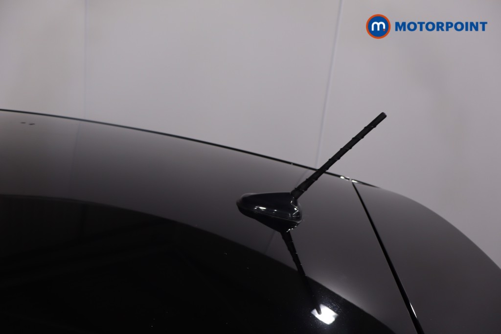 Used SEAT Ibiza 2024 for sale - 77432000: Photo 42