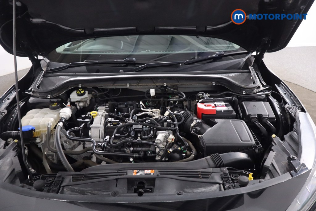 Used Ford Focus 2023 for sale - 77159615: Photo 40