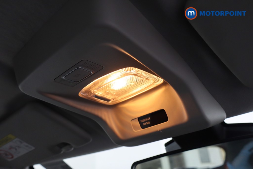 Used Dacia Spring 2024 for sale - 77079653: Photo 29