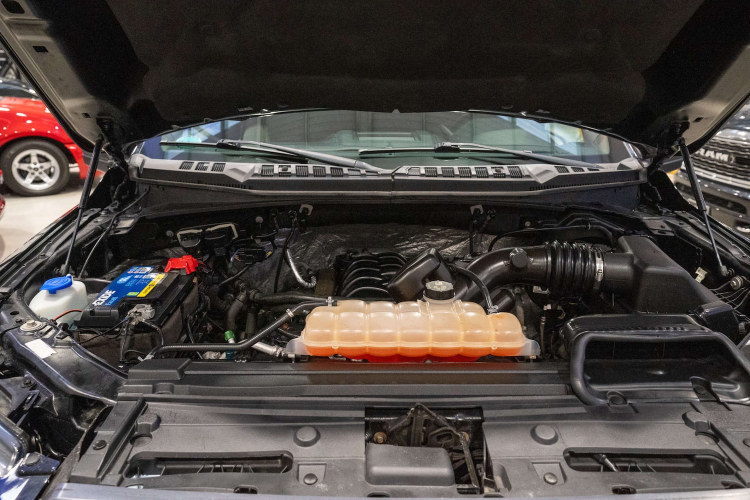 Used Ford F150 2017 for sale - 76735805: Photo 18