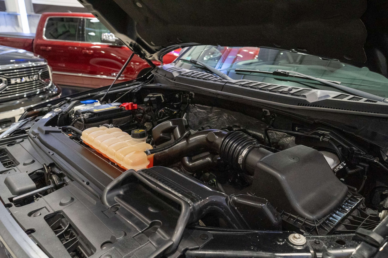 Used Ford F150 2017 for sale - 76735805: Photo 52