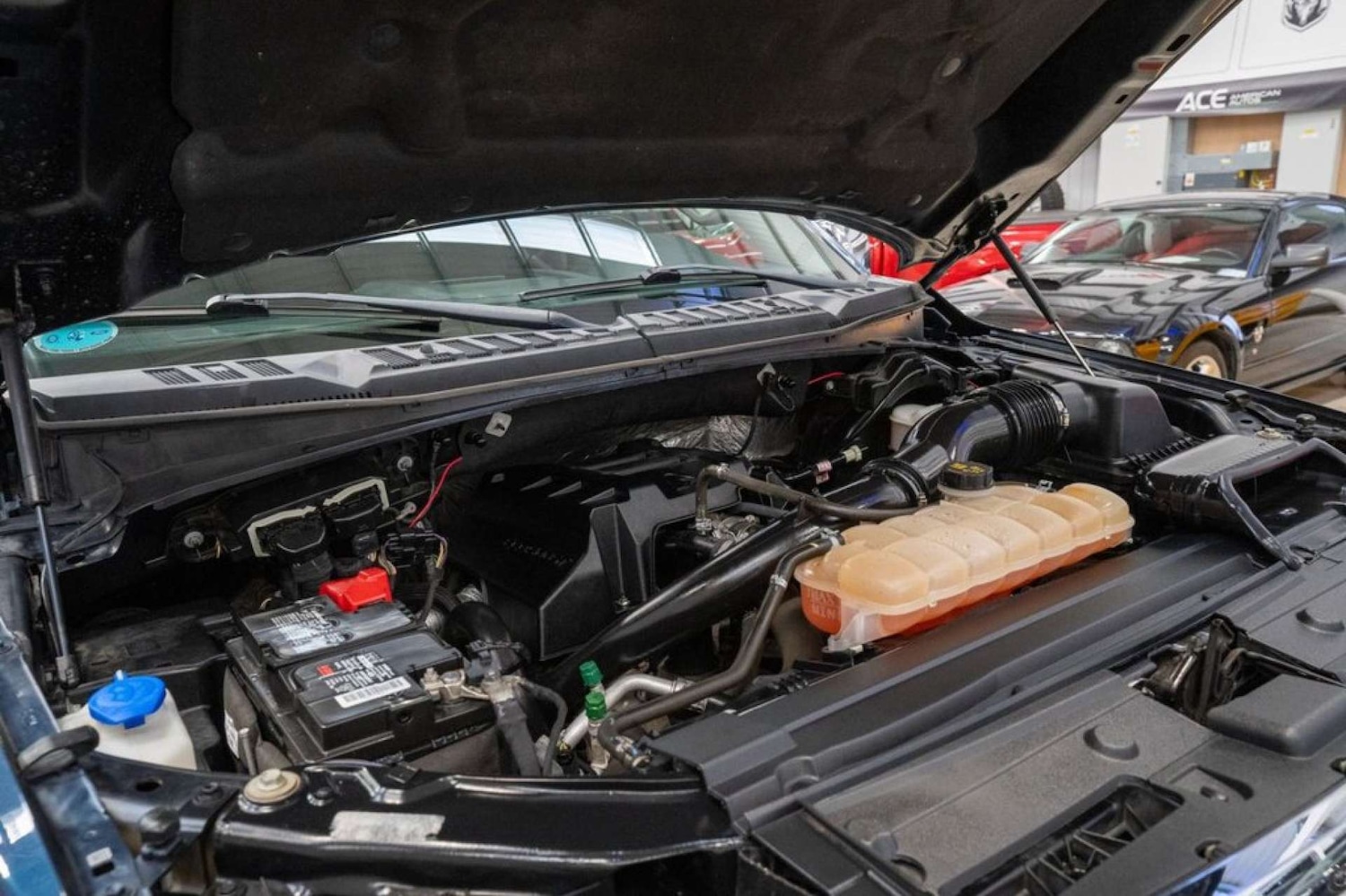 Used Ford F150 2016 for sale - 75551577: Photo 20