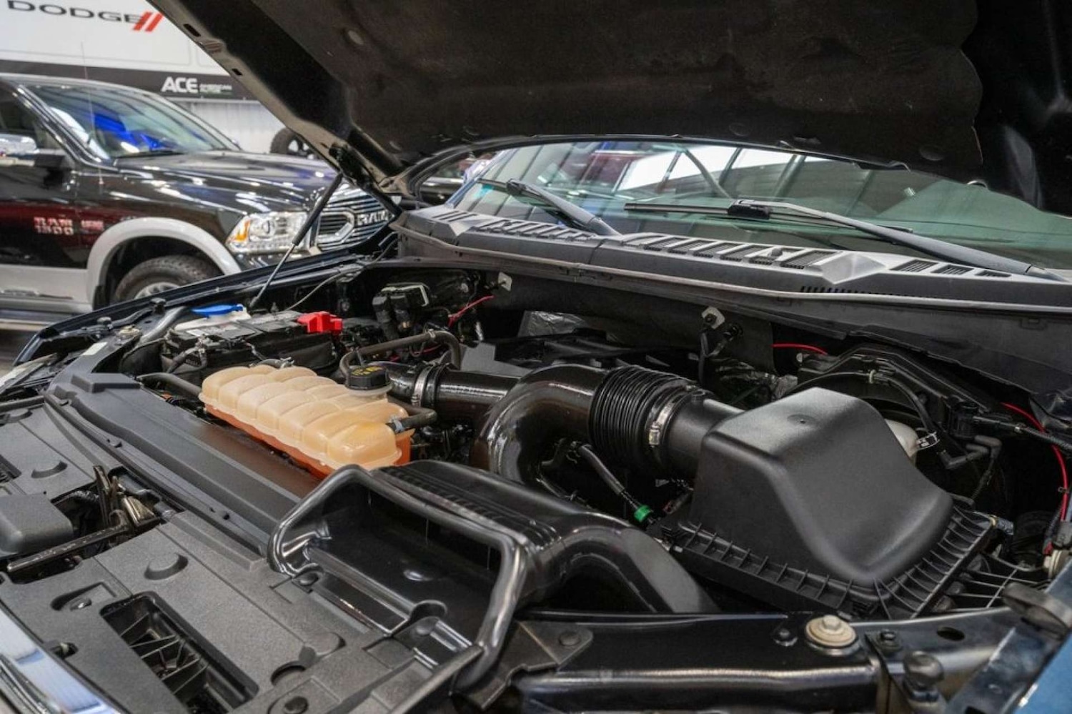 Used Ford F150 2016 for sale - 75551577: Photo 22