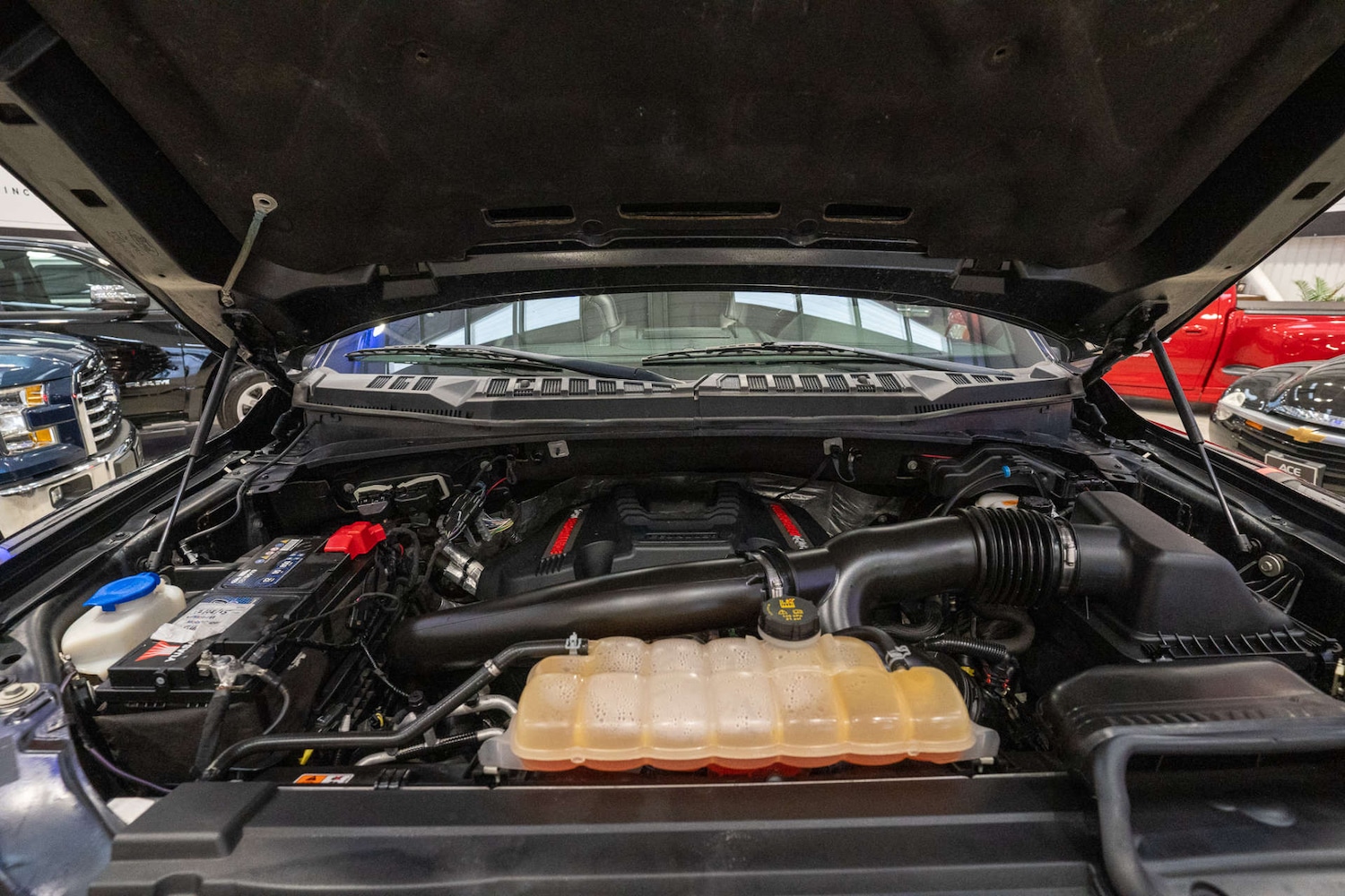 Used Ford F150 2019 for sale - 76278566: Photo 75