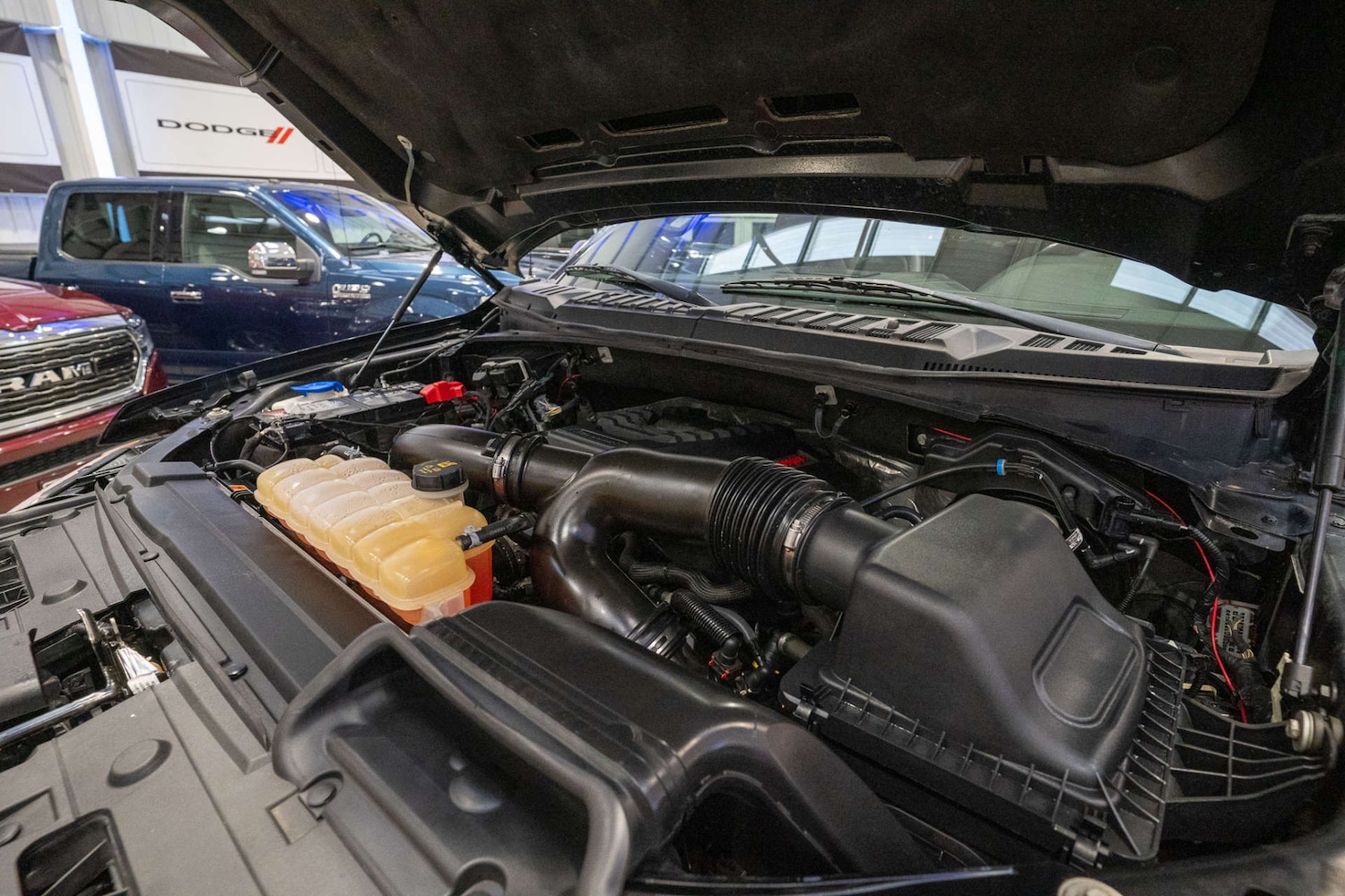 Used Ford F150 2019 for sale - 76278566: Photo 76