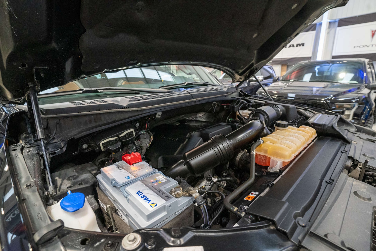 Used Ford F150 2017 for sale - 76531571: Photo 22